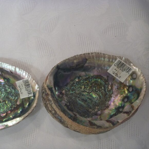 2 pcs Set Large Abalone Seashell Sea Snail Shell Smudge Smudging Bowl décor - Picture 2 of 11